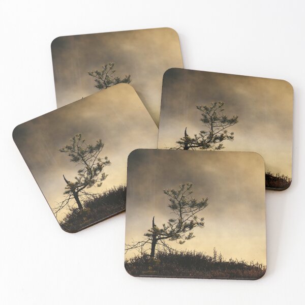 Item preview, 13.5.2023: Pine Tree in Morning Mist designed and sold by Petri Volanen.