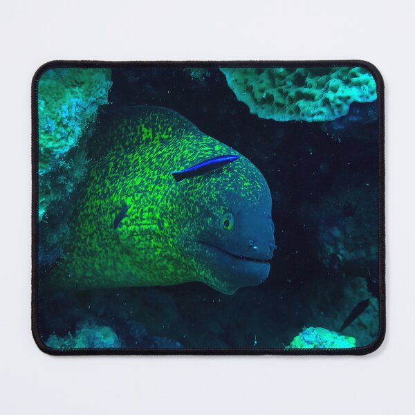 Item preview, Moray eel designed and sold by likbatonboot.