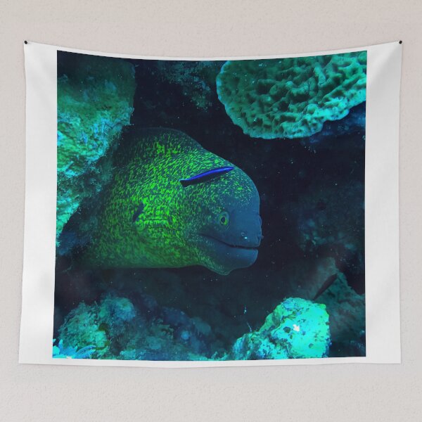 Item preview, Moray eel designed and sold by likbatonboot.