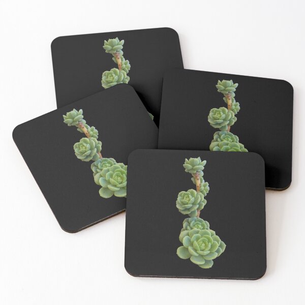 Item preview, Green Succulent Plant Painting designed and sold by Juna-Studio.