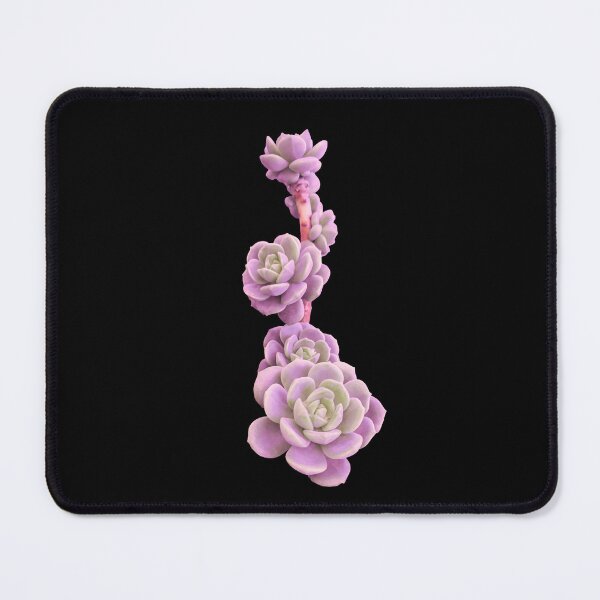 Item preview, Pink Succulent Plant Painting designed and sold by Juna-Studio.