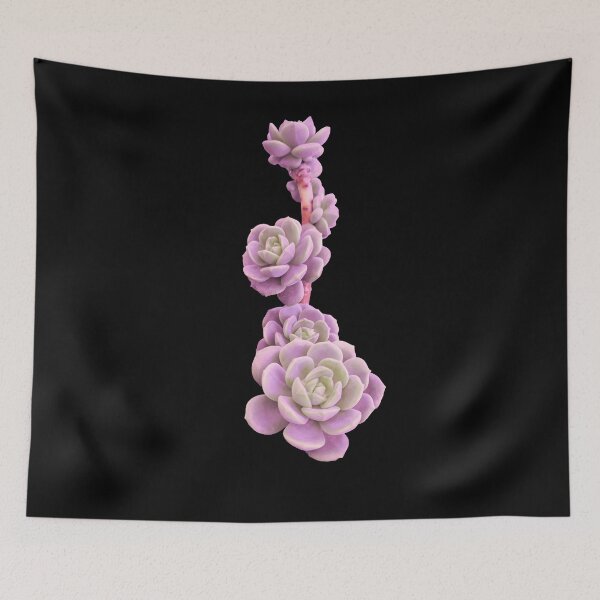 Item preview, Pink Succulent Plant Painting designed and sold by Juna-Studio.