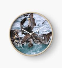 Pelicans! Clock