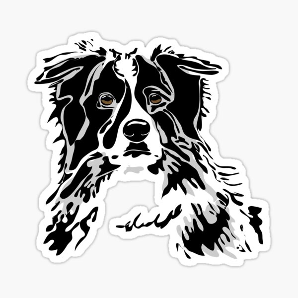 Border-Collie, ein Hund für's Leben Sticker