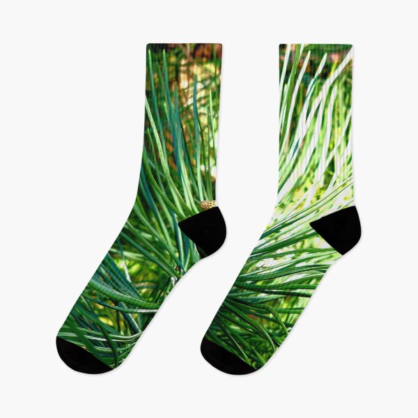 Item preview, palm trees designed and sold by IgorKovalenko.
