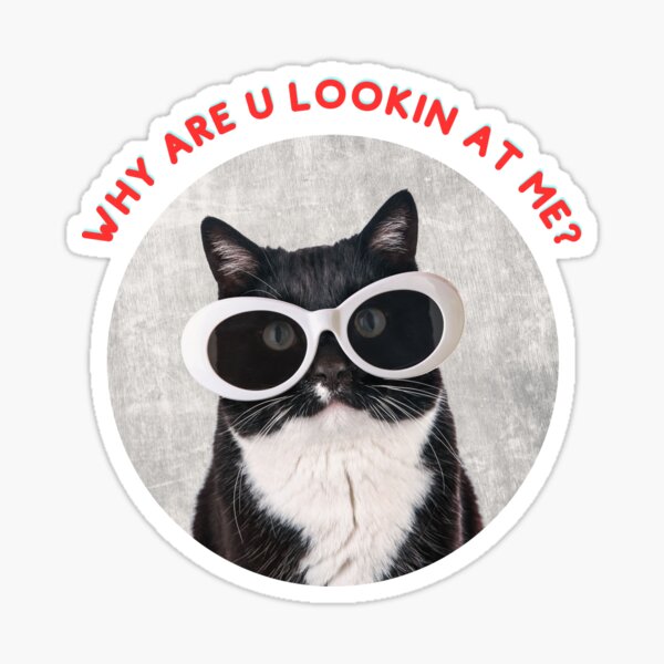 Item preview, Tuxedo cat, Why are you looking at me, Original  Willow Days designed and sold by avit1.