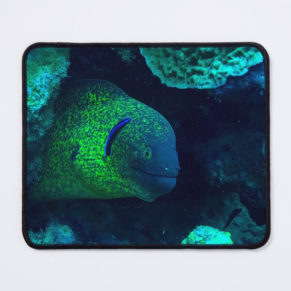 Item preview, Moray eel designed and sold by likbatonboot.