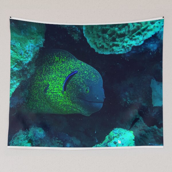 Item preview, Moray eel designed and sold by likbatonboot.