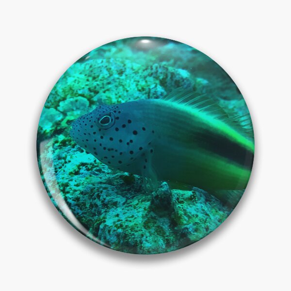 Item preview, Freckled hawkfish designed and sold by likbatonboot.