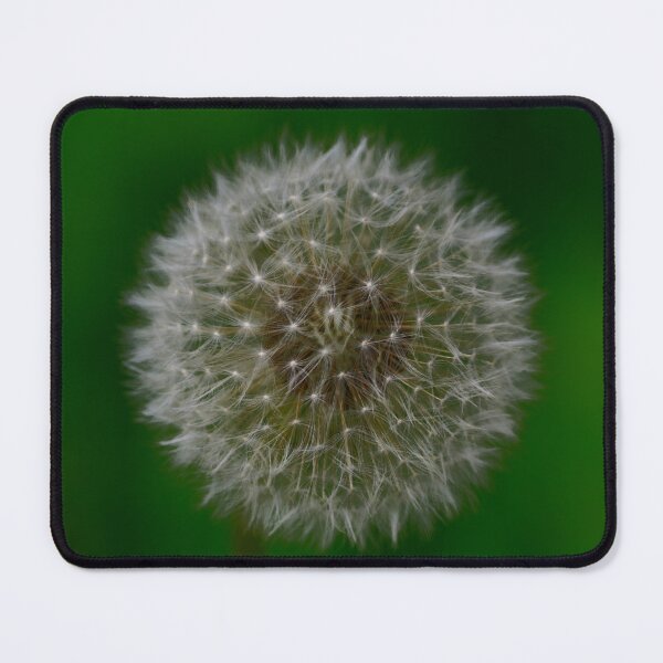 Item preview, A head full of dandelion seeds designed and sold by Anne Bonfert.