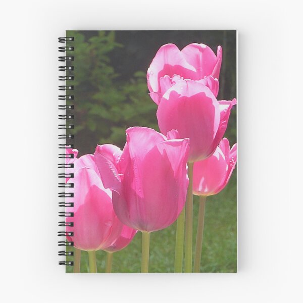 Item preview, More tulip beauty designed and sold by jchanders.