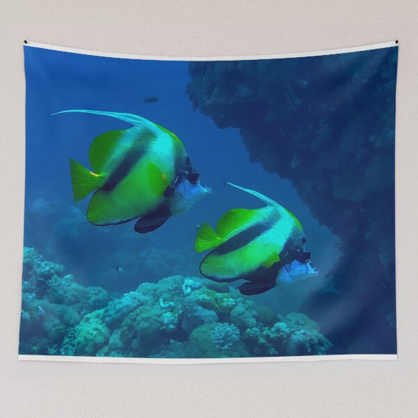 Item preview, Angelfish designed and sold by likbatonboot.