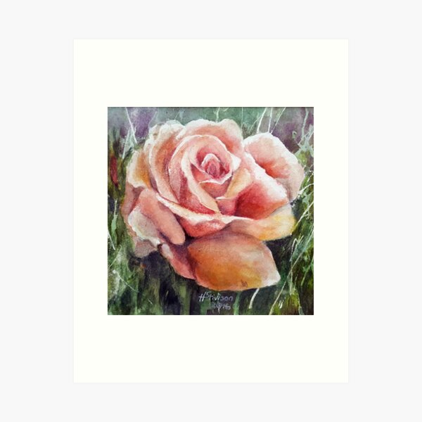 Wild Rose at the Edge of the Meadow Art Print