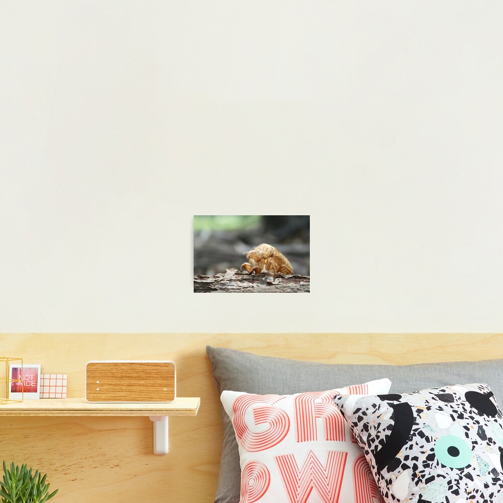 Item preview, Photographic Print designed and sold by ItsCoops.