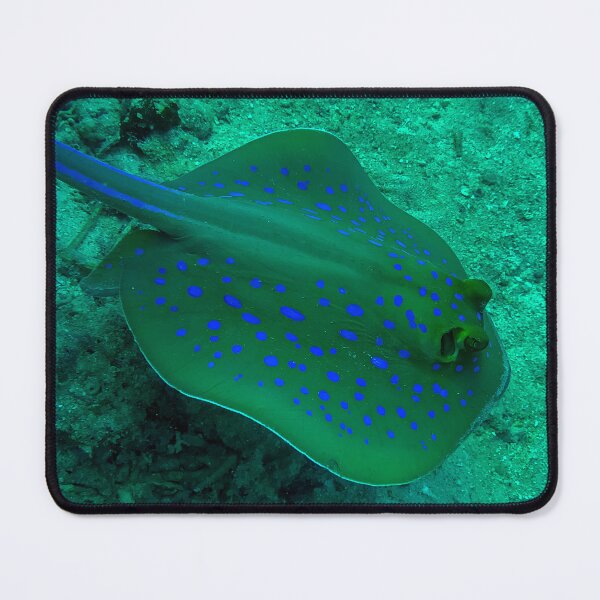 Item preview, Blue spotted stingray designed and sold by likbatonboot.
