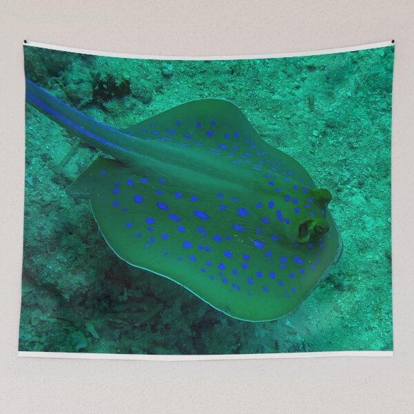 Item preview, Blue spotted stingray designed and sold by likbatonboot.