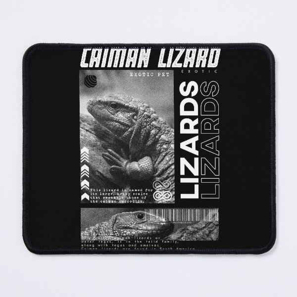 Item preview, Caiman Lizard Modern Streetwear Reptile Keeper designed and sold by JRRTs.
