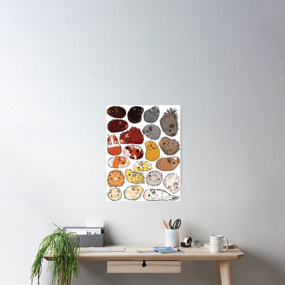 Guinea Pig Gradient Poster