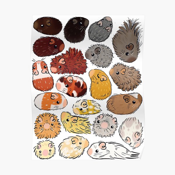 Guinea Pig Gradient Poster
