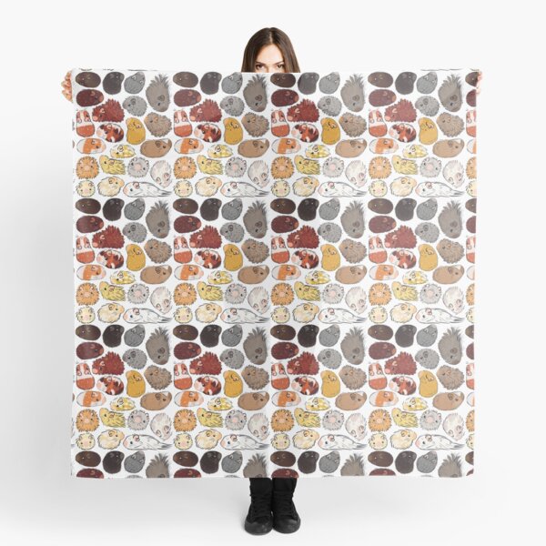 Guinea Pig Gradient Scarf