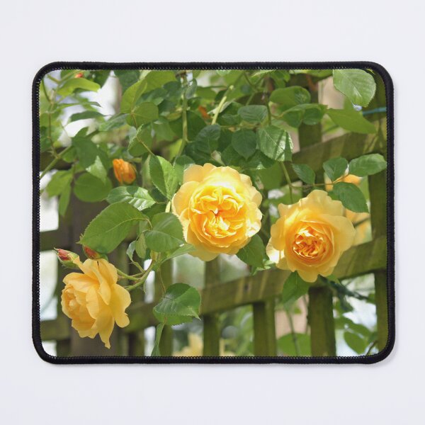 Item preview, Yellow rose trellis designed and sold by LorrieBee.