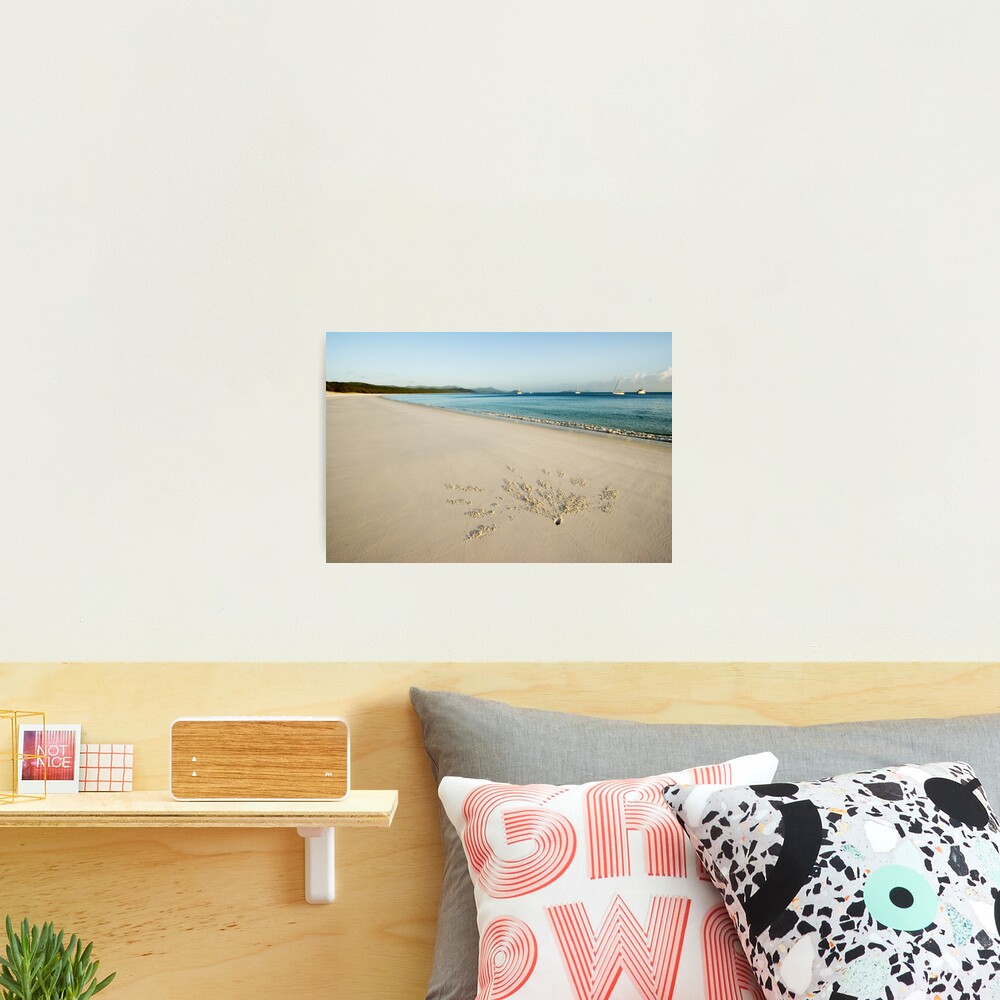 New Canvas Photographic Print