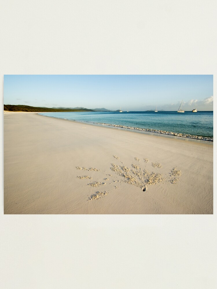 Alternate view of New Canvas Photographic Print