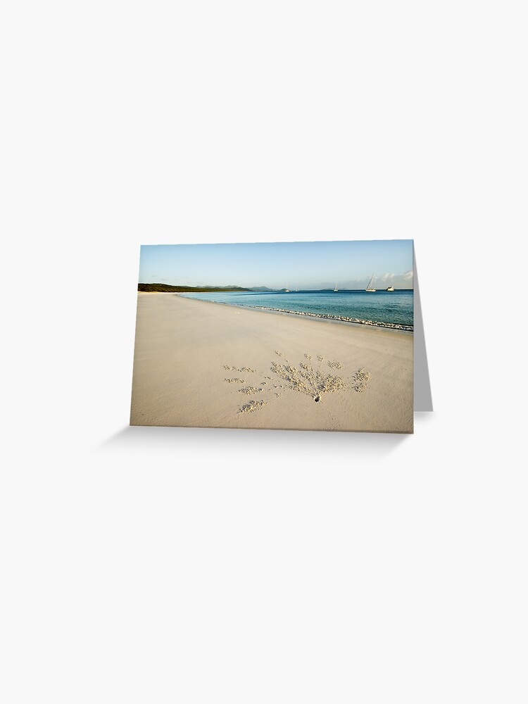Thumbnail 1 of 2, Greeting Card, New Canvas designed and sold by Tim Wootton.