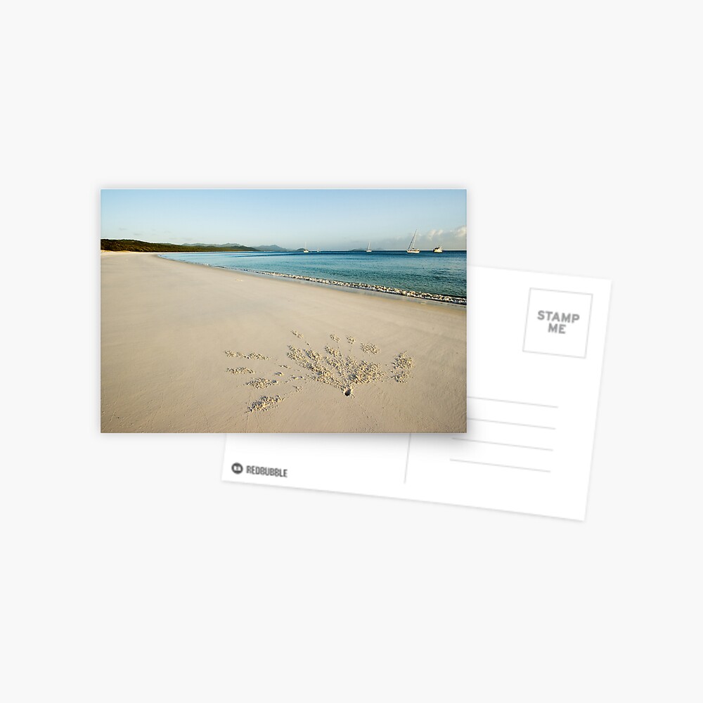 Item preview, Postcard designed and sold by wootton60.