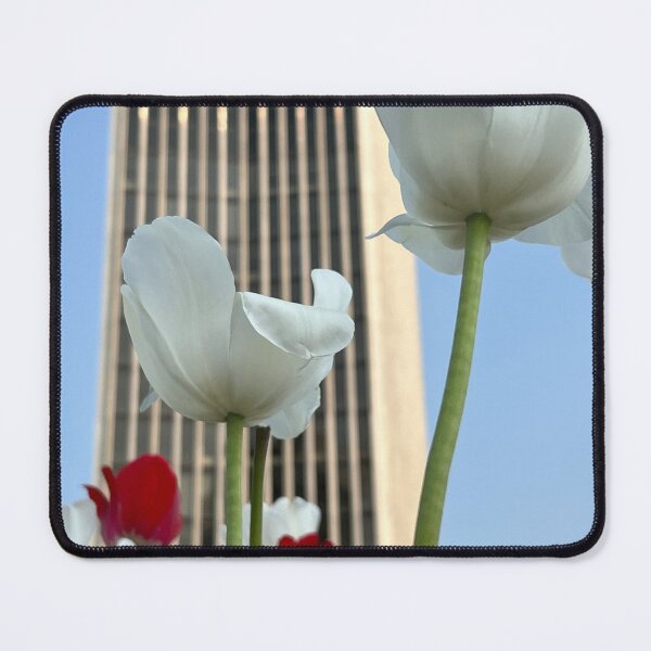 Item preview, Corning Tower Tulips  designed and sold by Stephanie Fay.