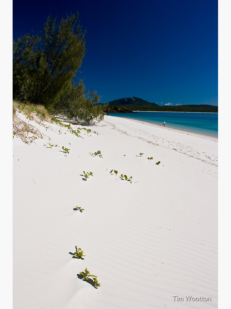 Thumbnail 3 of 3, Photographic Print, Chalkie's Beach designed and sold by Tim Wootton.