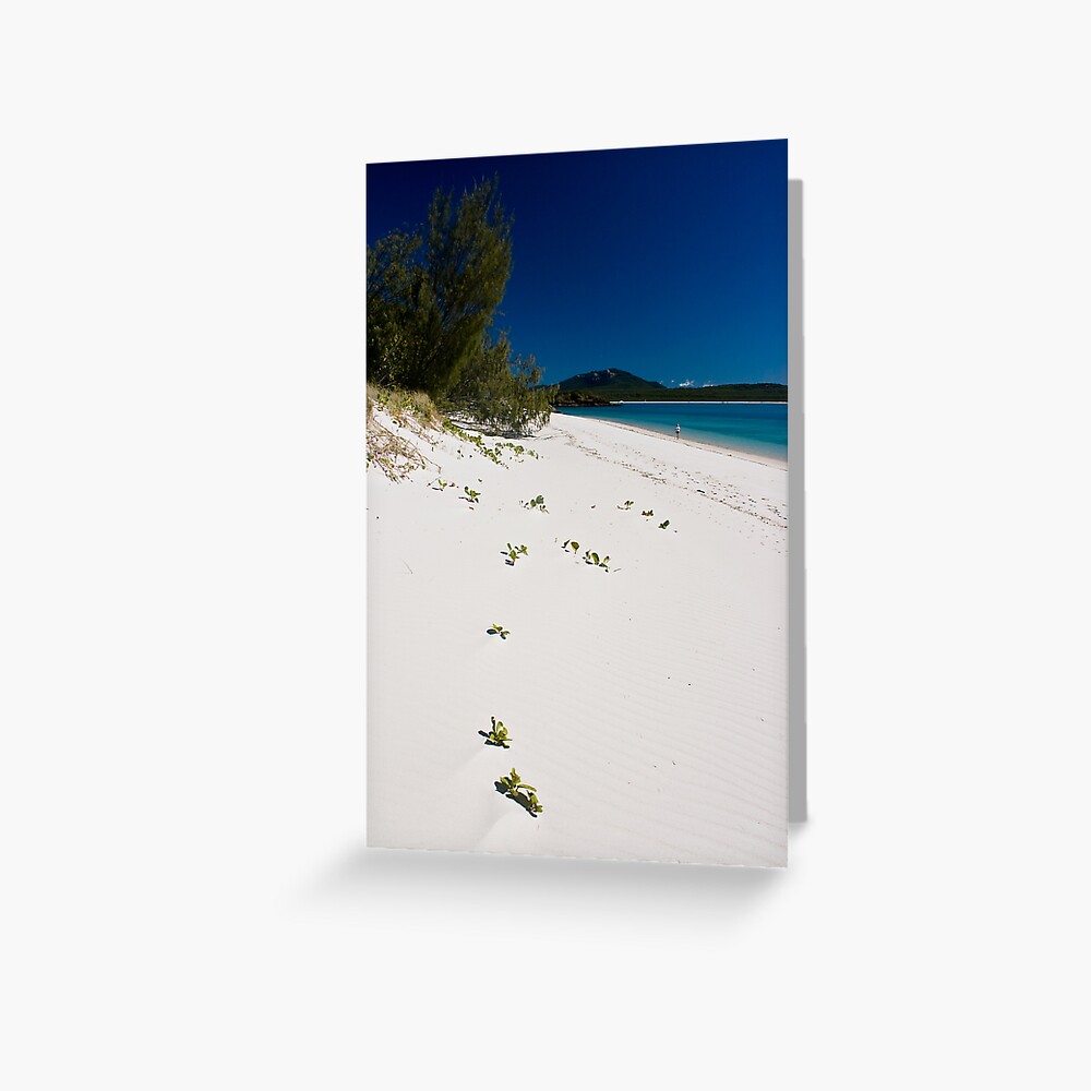 Item preview, Greeting Card designed and sold by wootton60.