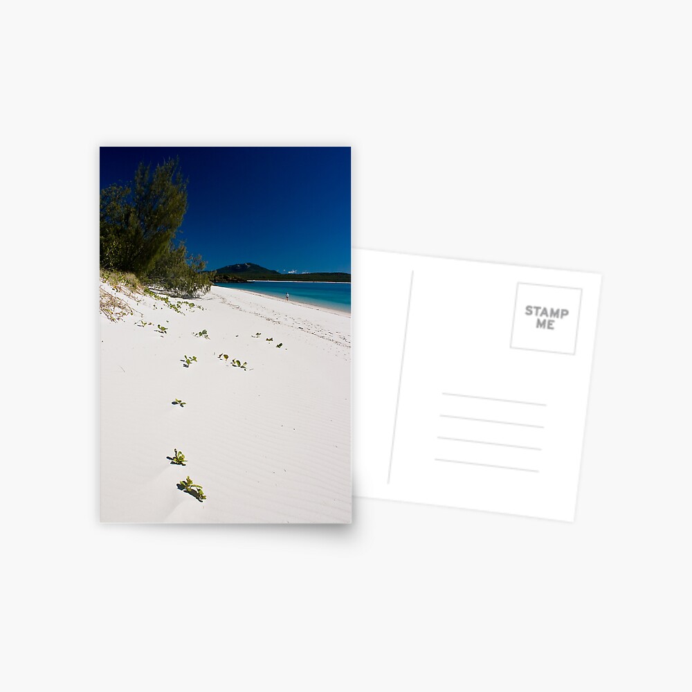 Item preview, Postcard designed and sold by wootton60.