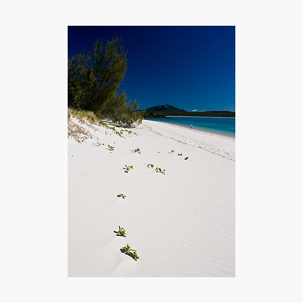 Photographic Print
