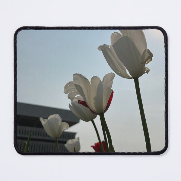 Item preview, Looking Up designed and sold by Stephanie Fay.
