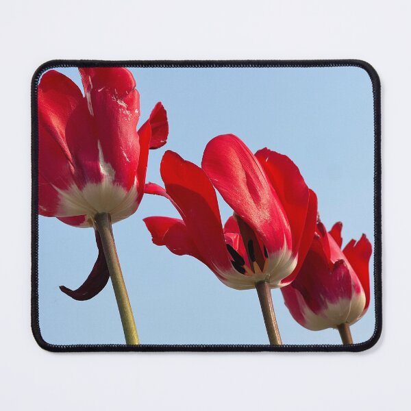 Item preview, Red Tulips designed and sold by Stephanie Fay.