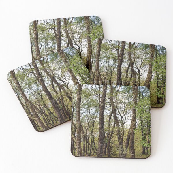Item preview, woodland designed and sold by KathleenDawson.