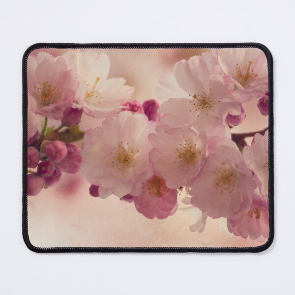 Item preview, How Could You Do That To Me designed and sold by Denise Abé.