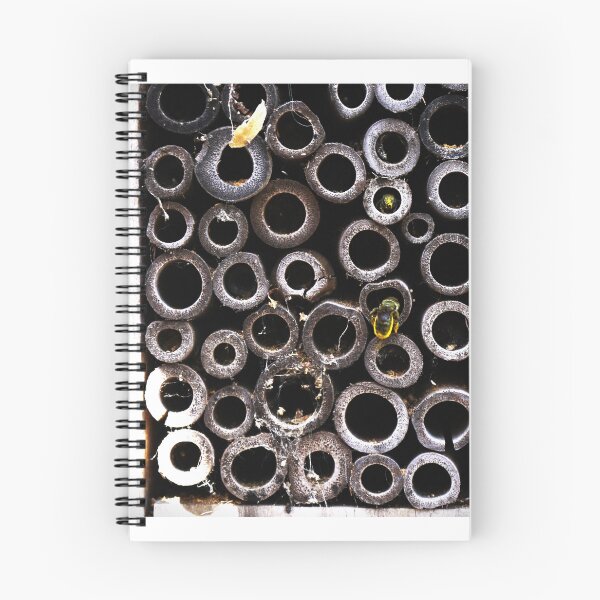 Aperçu de l'œuvre Abeilles d'appartement créée et vendue par Samuel Schaar.