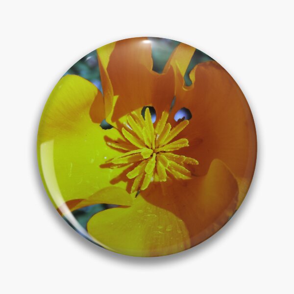 Item preview, Orange You Glad to See Me designed and sold by Samuel Schaar.
