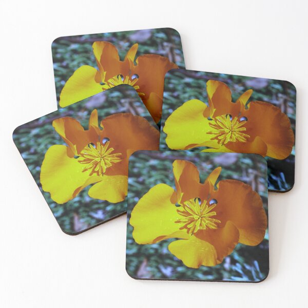 Item preview, Orange You Glad to See Me designed and sold by Samuel Schaar.