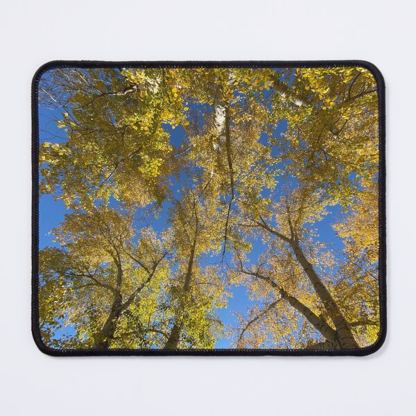 Item preview, Autumn Trees designed and sold by Image-Prints.