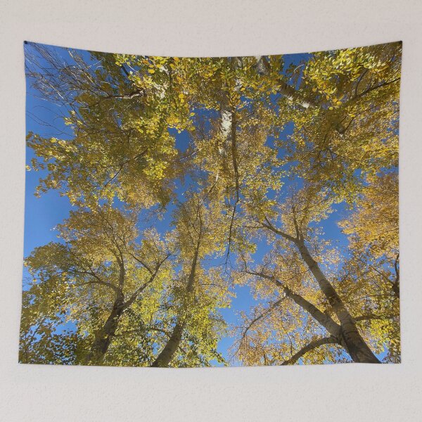Item preview, Autumn Trees designed and sold by Image-Prints.
