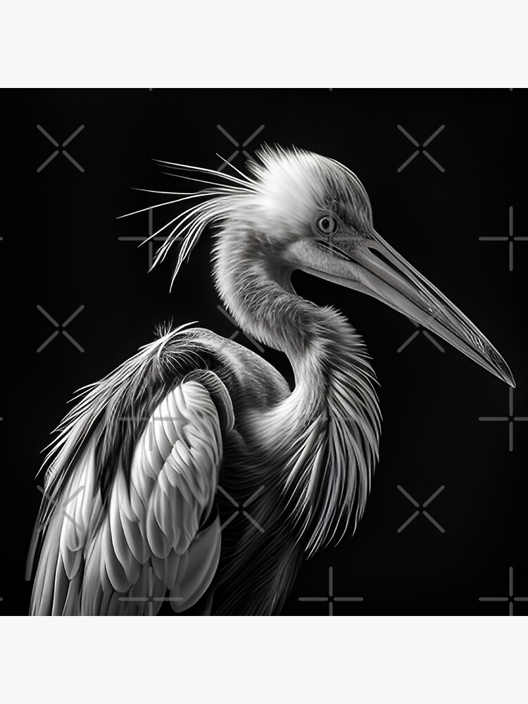 Black And White Stork Drawing