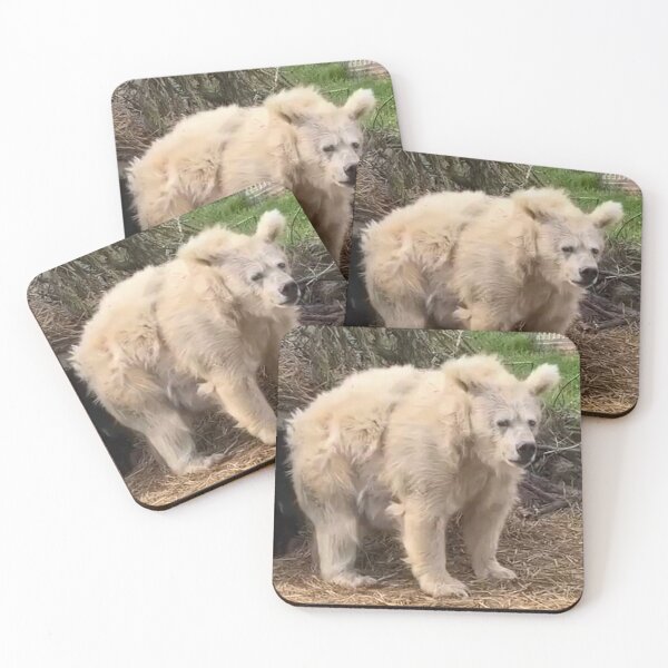 Item preview, Hibernating Bear designed and sold by Exposation.