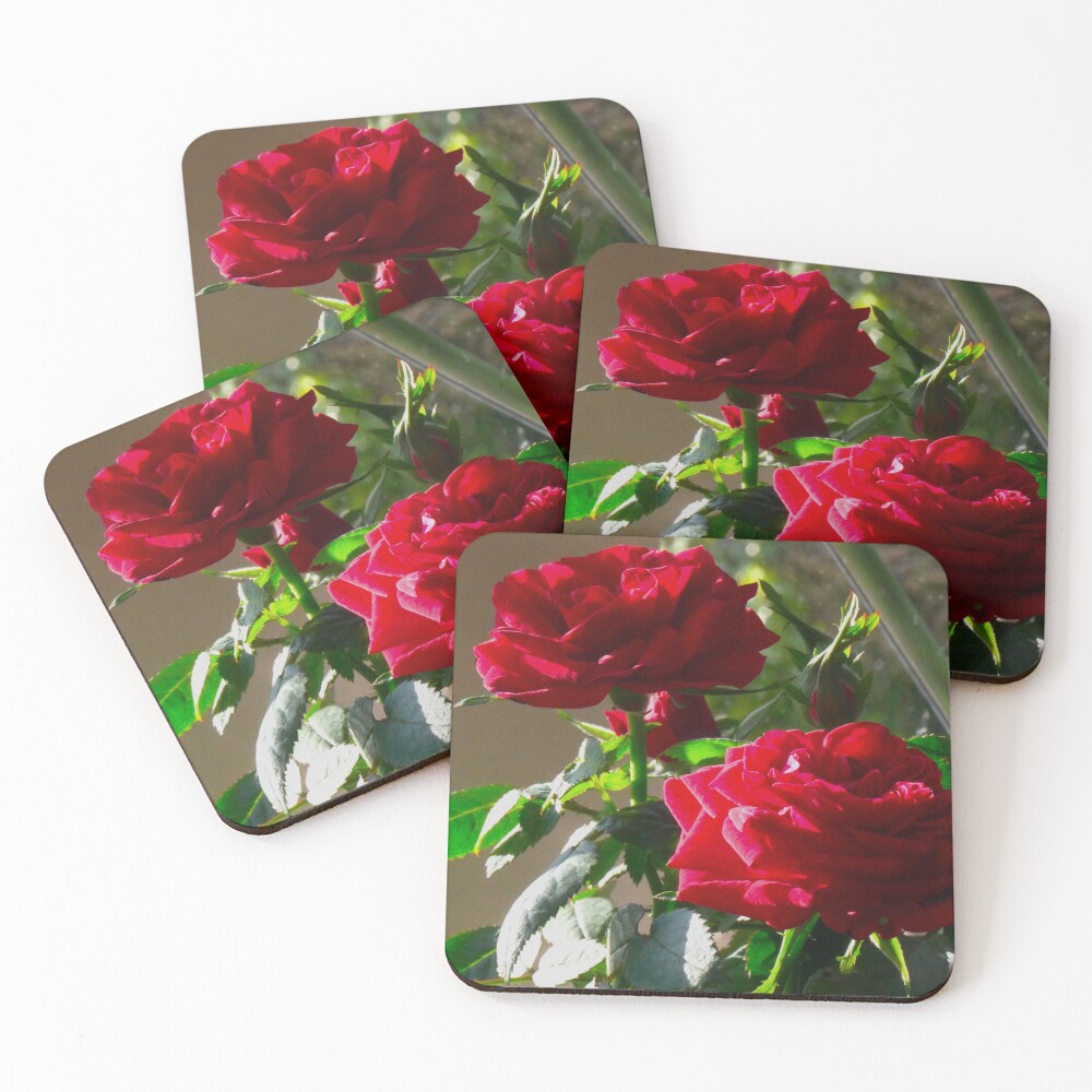 Item preview, Coasters (Set of 4) designed and sold by jalfc46.