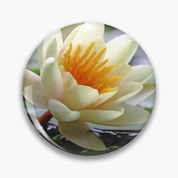 Item preview, Yellow Water Lily designed and sold by Deb Oppermann.