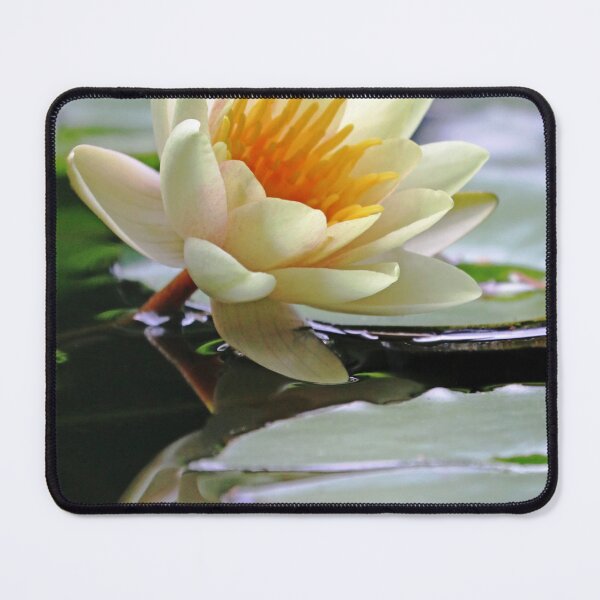 Item preview, Yellow Water Lily designed and sold by Deb Oppermann.