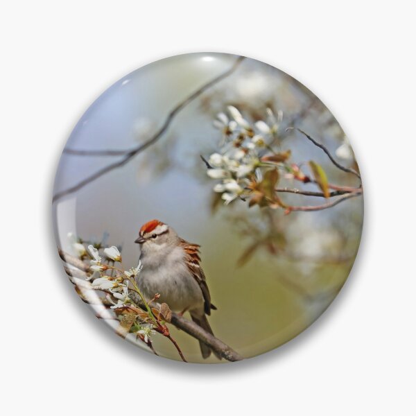 Item preview, Chipping Sparrow In The Serviceberry designed and sold by Deb Oppermann.