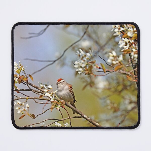 Item preview, Chipping Sparrow In The Serviceberry designed and sold by Deb Oppermann.